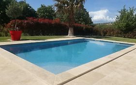 Villa Les palmiers en Provence